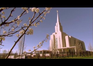 Sacred Temple Clothing