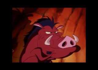  Around The World With Timon Pumbaa Part 3