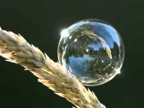 أروع و أحلى و أجمل تلاوة قد تسمع أذناك روووووعة