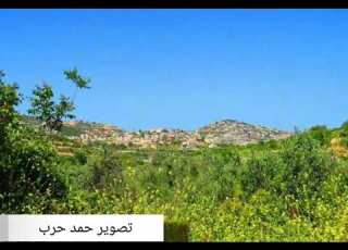 يا ورد العم تتغاوى فوق التلة بيت جن