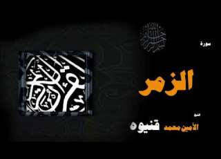 القران الكريم بصوت الشيخ الامين محمد قنيوة سورة الزمر