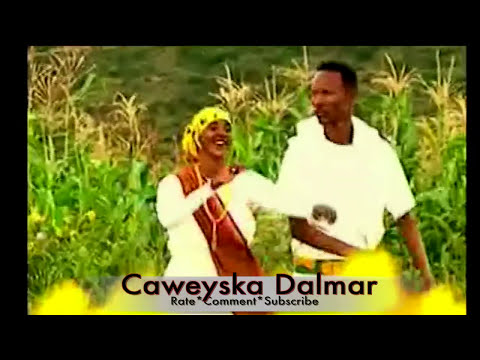 Dhaanto Dhool Gu Nuur Caraale Iyo Hodan Macalin Dhaanto Dhool Gu Nuur Caraale Iyo Hodan Macalin