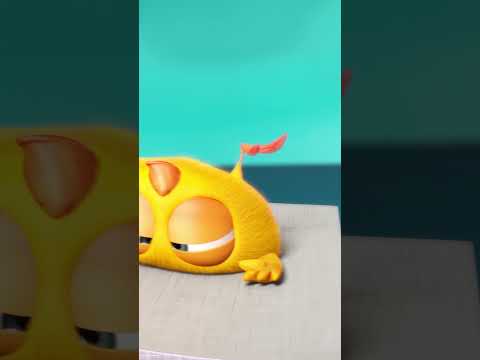 Not A Very Fatal Fall Chicky Chicky Cartoon In English For Kids
