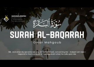  Omar Mahgoub عمر محجوب Surah Al Baqarah 183 188 سوره البقره