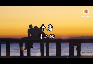 薛之謙 平庸 燙一個洞 留一點念想 就當給我紋個理想 假擁有一場 動態歌詞 Lyrics