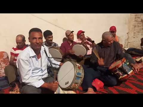 مجموعة بريجة الغيطة الغرباوية الخنيشات مجموعة بريجة الغيطة الغرباوية الخنيشات