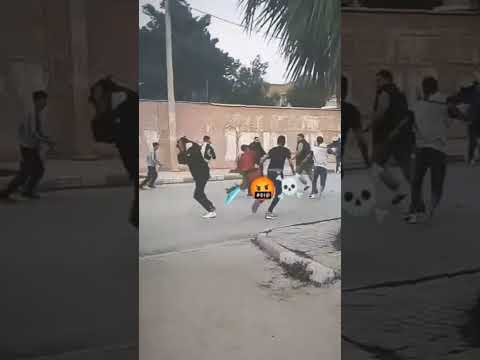بغيتو الحرب انيلا تحبو الدبزة انيلا Algerie Viral Boxing Viral اكسبلور ابو فله Fb