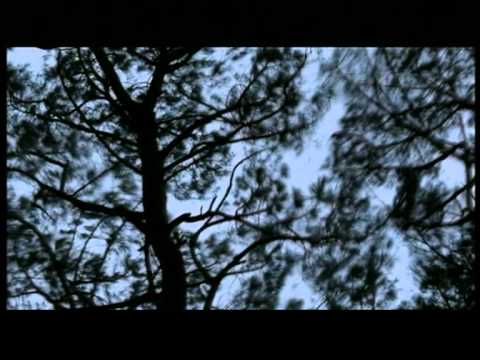 هاني متواسي أحوالي ماتسرش Hani Metwasi Ahwaly Matsurish