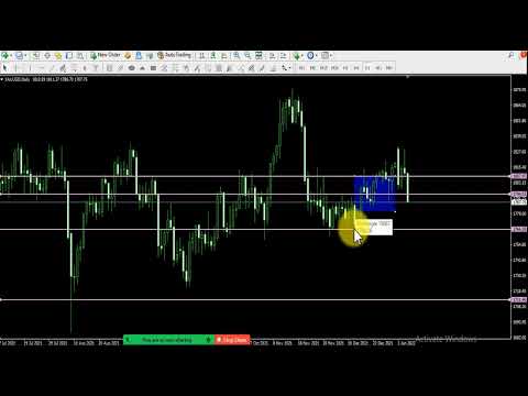 تعلم استراتيجية توبي باستخدام Price Action مع Malak Nour