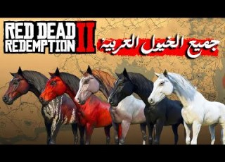  صيد و ترويض جميع الخيول العربية Arabian Horse In Red Dead Redemption 2
