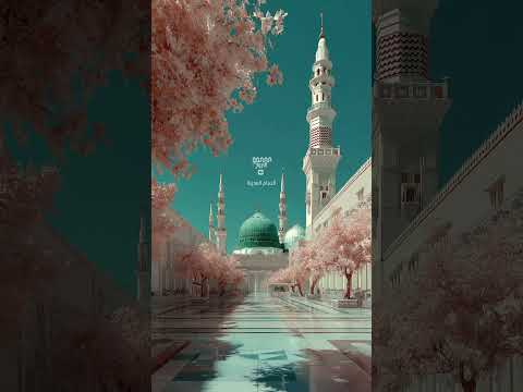 أنسام المدينة Shorts