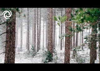 WINTER VIVALDI RELAX STUDY SLEEP 1 Hour