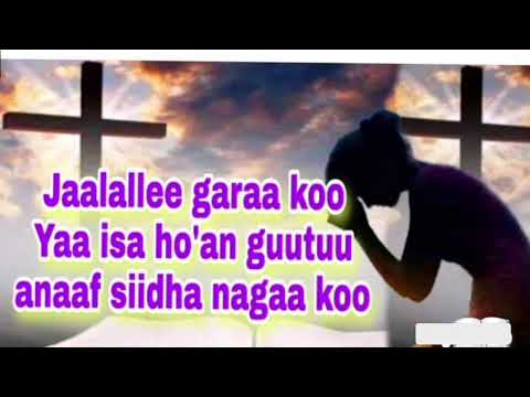 Jaalallee Garaa Koo Gameplay Music Oromomusic Viralvideo Gameplay Comedy