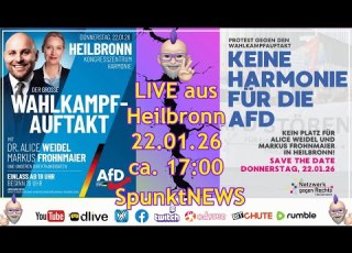 Alice Weidel In Heilbronn AfD Wahlkampfauftakt Baden Württemberg Vs Omas G R Und ANTI ANTIFA