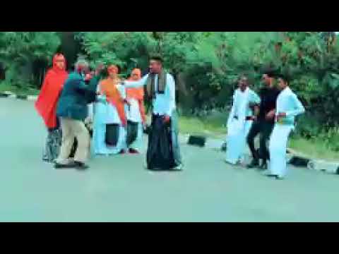 Dhaanto Macan Muxyadin Shaahin Somalida Dhamaan Sinjigayga Gobtah Wasalano Maseegi Karesetihin 2021