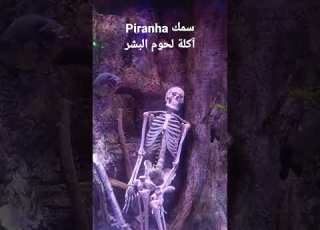 سمك  آكل لحوم البشر   تركيا سياحة  