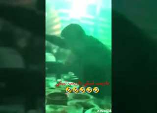 يازينب لبيكي يازينب لبيكي