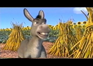 Shrek Onions 2001 VHS Capture