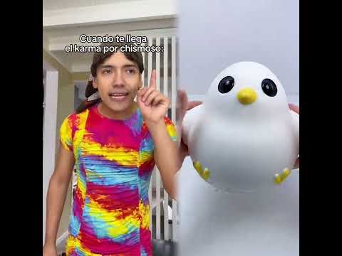 2026 Pov Must Watch Crazy Clips Compilation Humor Fypシ Pov Fyp Foryou