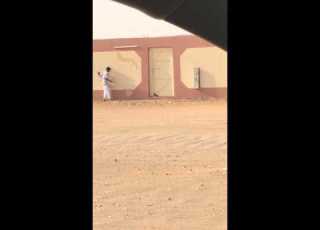  صيد شيهانه بمخدجه