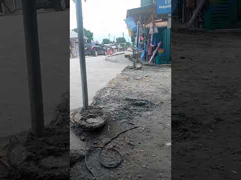 Unyama Mwingi Vijibweni Dar Es Salaam Tanzanua