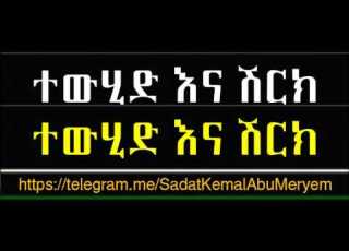 Tewhide Ena Shirk