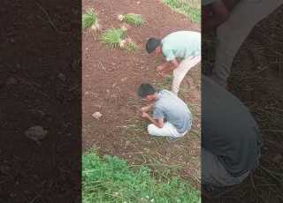 Kodoropai Dai Bhai Haru La Woow
