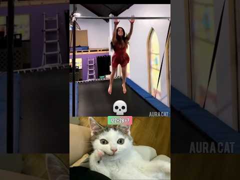 When My Friend See Reels Alone Cat Memes Dance