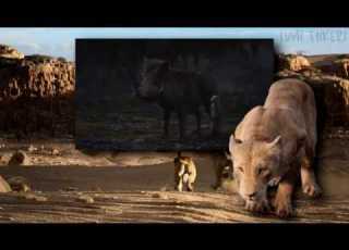  The Lion King 2019 Spirit Taiwanese Mandarin Blu Ray Version HD