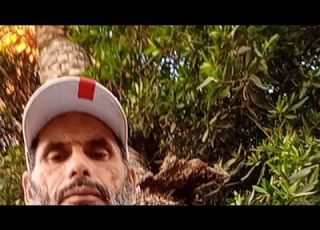  وهوى إليك بحزع النخلة