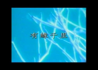 孫耀威 酒井法子 有緣千里