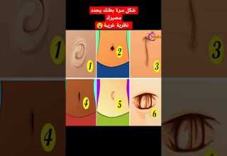 شكل سرة بطنك يحدد مصيرك نظرية غريبة Shorts