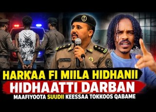  Harkaa Fi Mii A Hidh Anii Hidh Tti Darbaa Jiran Maafiyoota Biyya Arabaa