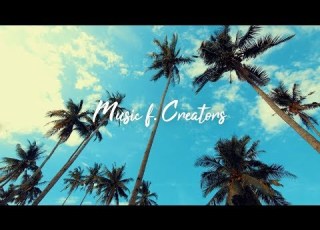  Palm Trees MBB