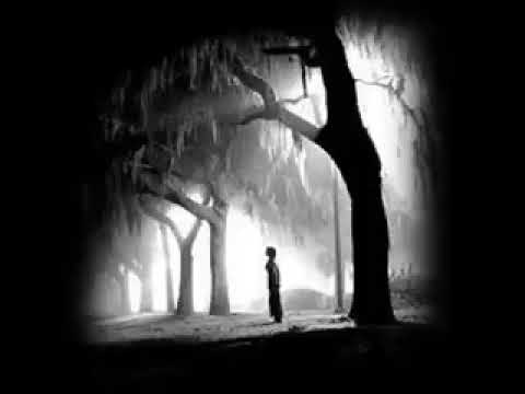 احضنوا الايام طارق الشيخ