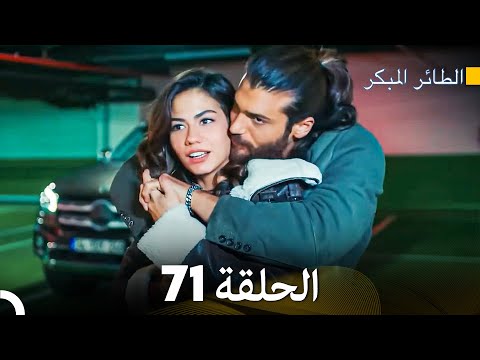 مسلسل الطائر المبكر الحلقة 71 Arabic Dubbed FULL HD مسلسل الطائر المبكر الحلقة 71 Arabic Dubbed FULL HD