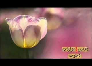 قصه من زمان قديم الامام البخاري ول الف دينار