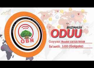 Oduu Biizinasii Sa Aatii 1 00 OBN Hagayya 13 2018