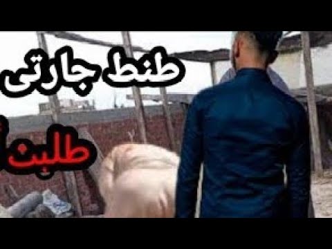 ابن جارتي العشريني طلع معايا السطوح يقفش في الفراخ