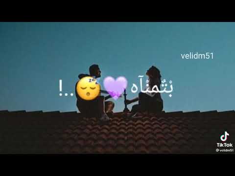 حبيبي يا حلم عشت عمري بستنى وبتمنى