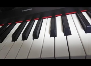 耳コピ 世界に一つだけの花 SMAP