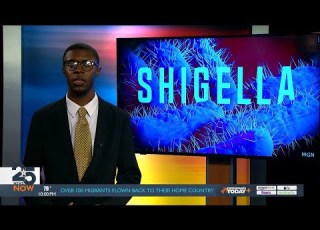  Shigella Outbreak In Lavaca County Linked To Hallettsville Based Restaurant Cabos San Lucas Mexican