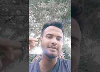 Deka Hindisong Song Bollywood Trending Bolleywoodsong