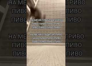 НА МЕНЯ ГЛЯДИТ ИГРИВО ПИВО ПИВО ПИВО ПИВО
