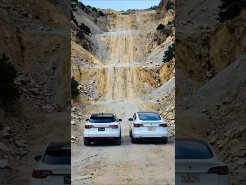 BYD Vs Tesla Which One Teslachina Offroad Tesla Byd BYD Vs Tesla Which One Teslachina Offroad Tesla Byd