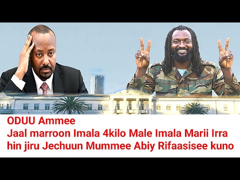 ODUU Ammee Jaal Marroon Imala 4kilo Male Imala Marii Irra Hin Jirruu Jedhan Moha Oromo