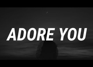 Miley Cyrus Adore You Lyrics