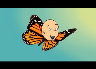  Caillou The Butterfly