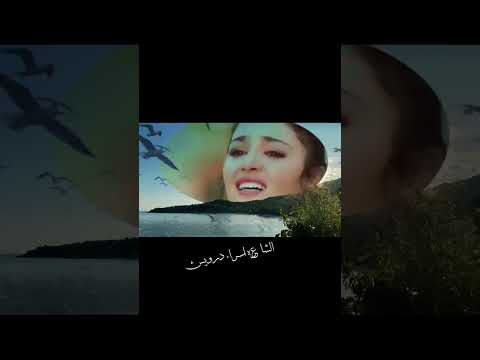 قلبي خلاص مقفول Shorts شعر الشاعره إسراء درويش خواطر حالات واتساب فيديو