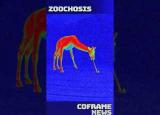 Zoochosis Ужасы с привкусом корма для жирафов